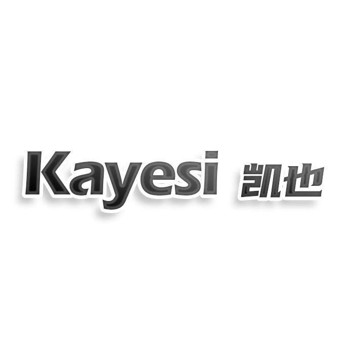 第18类商标-KAYESI 凯也 KAYESI 凯也