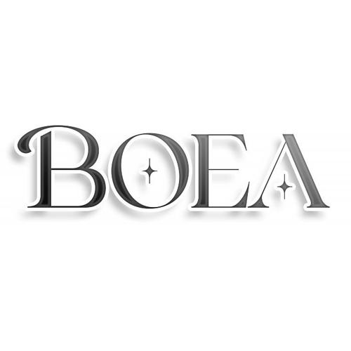第18类商标-BOEA BOEA