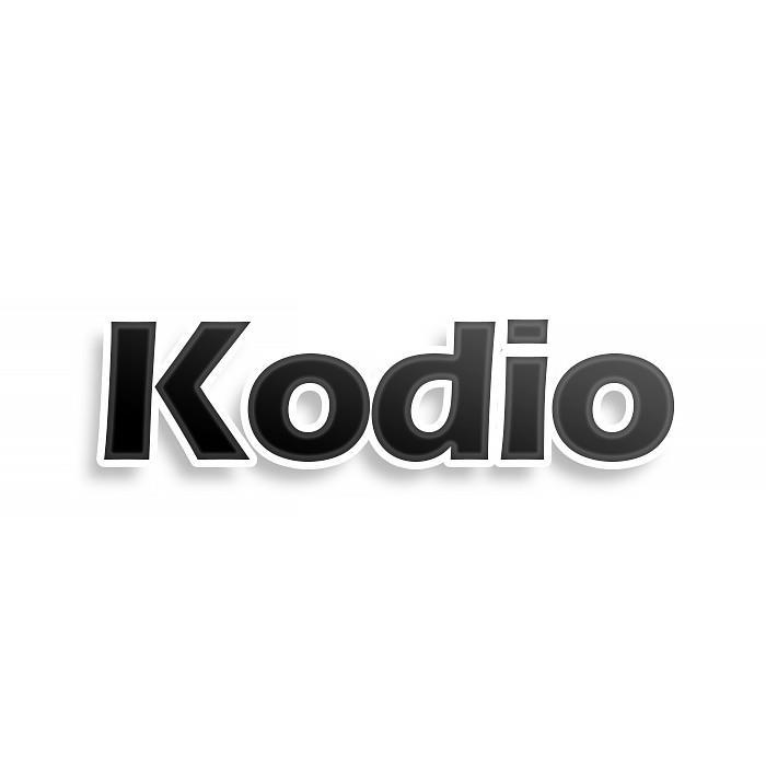 第12类商标-KODIO KODIO