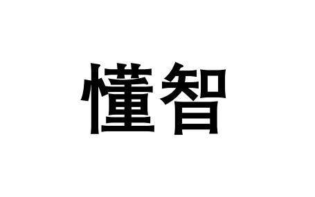 第42类商标-懂智 懂智