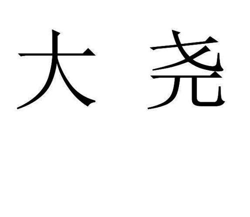 第12类商标-大尧 大尧