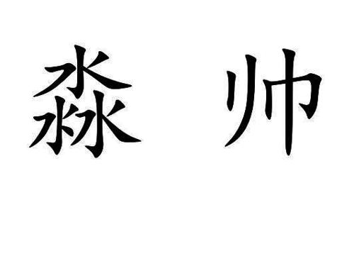 第3类商标-淼帅 淼帅