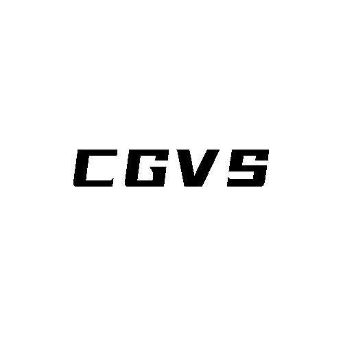 第12类商标-CGVS CGVS