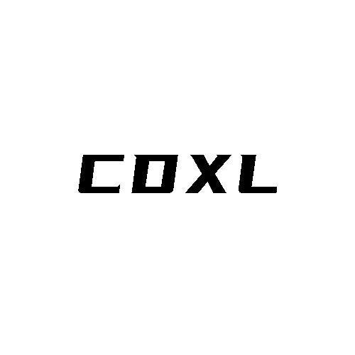 第12类商标-CDXL CDXL
