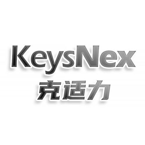 第22类商标-KEYSNEX 克适力 KEYSNEX 克适力