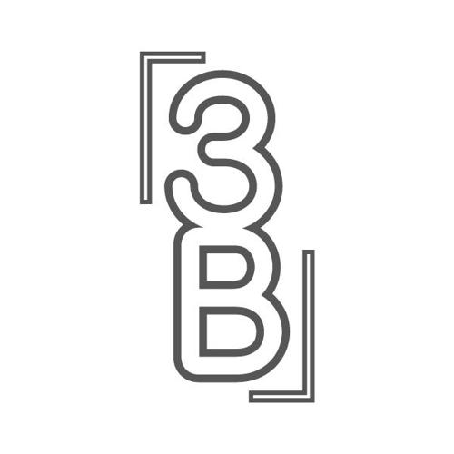 3B