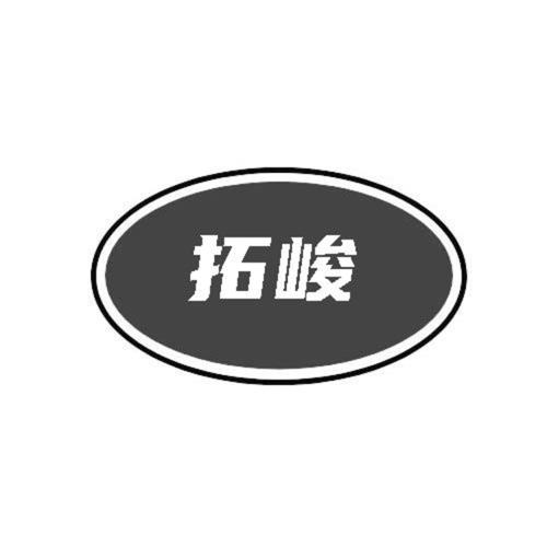 第38类商标-图形 图形