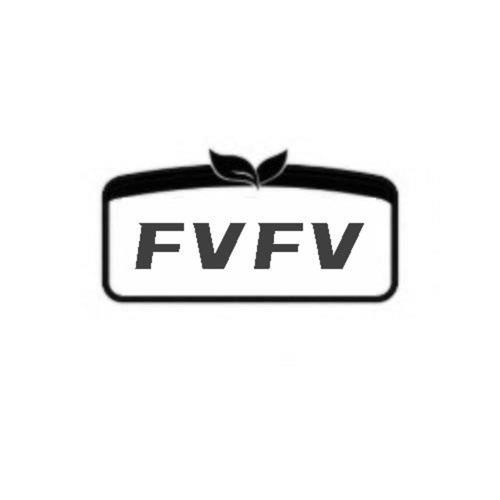 第9类商标-FVFV FVFV