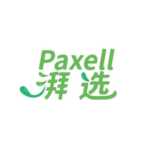 第21类商标-PAXELL 湃选 PAXELL 湃选