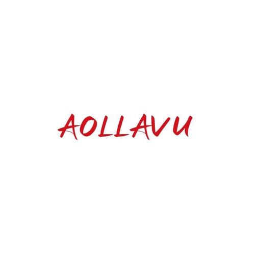 第16类商标-AOLLAVU AOLLAVU