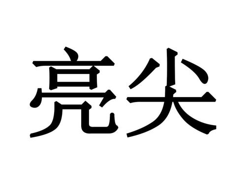 第9类商标-亮尖 亮尖