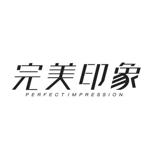 完美印象 PERFECT IMPRESSION