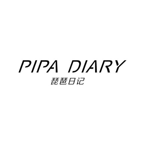 琵琶日记 PIPA DIARY
