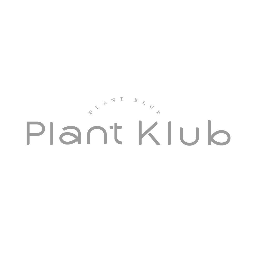 PLANT KLUB