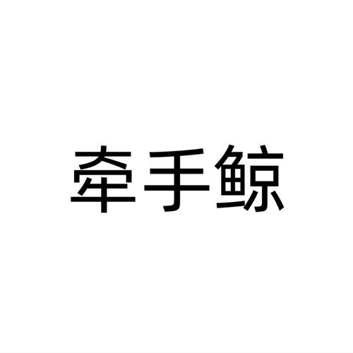 牵手鲸
