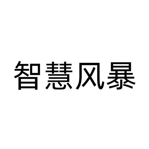 智慧风暴