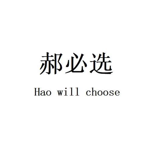 郝必选 HAO WILL CHOOSE
