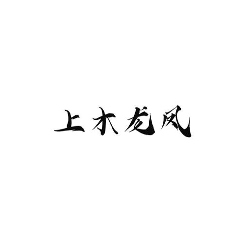 第14类商标-上木龙凤 上木龙凤