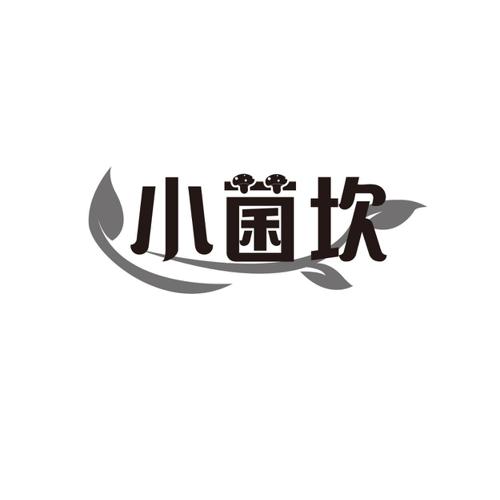 小菌坎