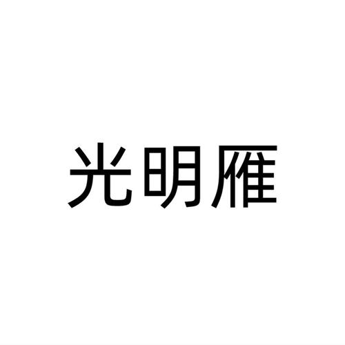 光明雁