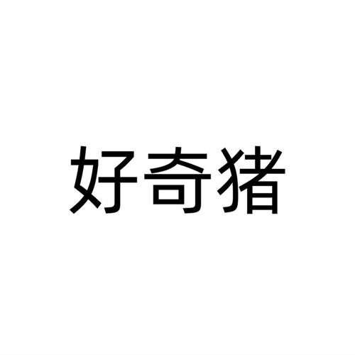 好奇猪