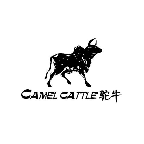 驼牛 CAMEL CATTLE