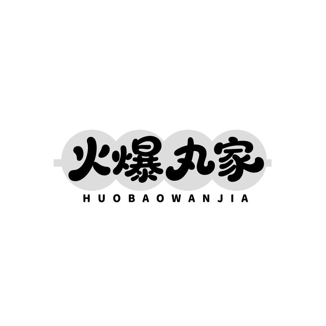 火爆丸家