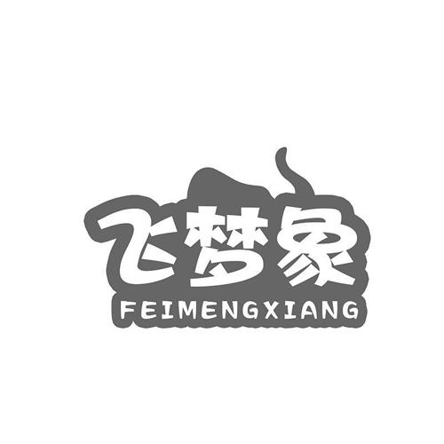 飞梦象