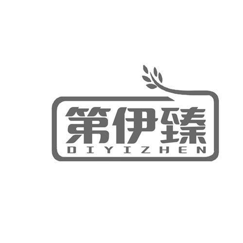 第伊臻