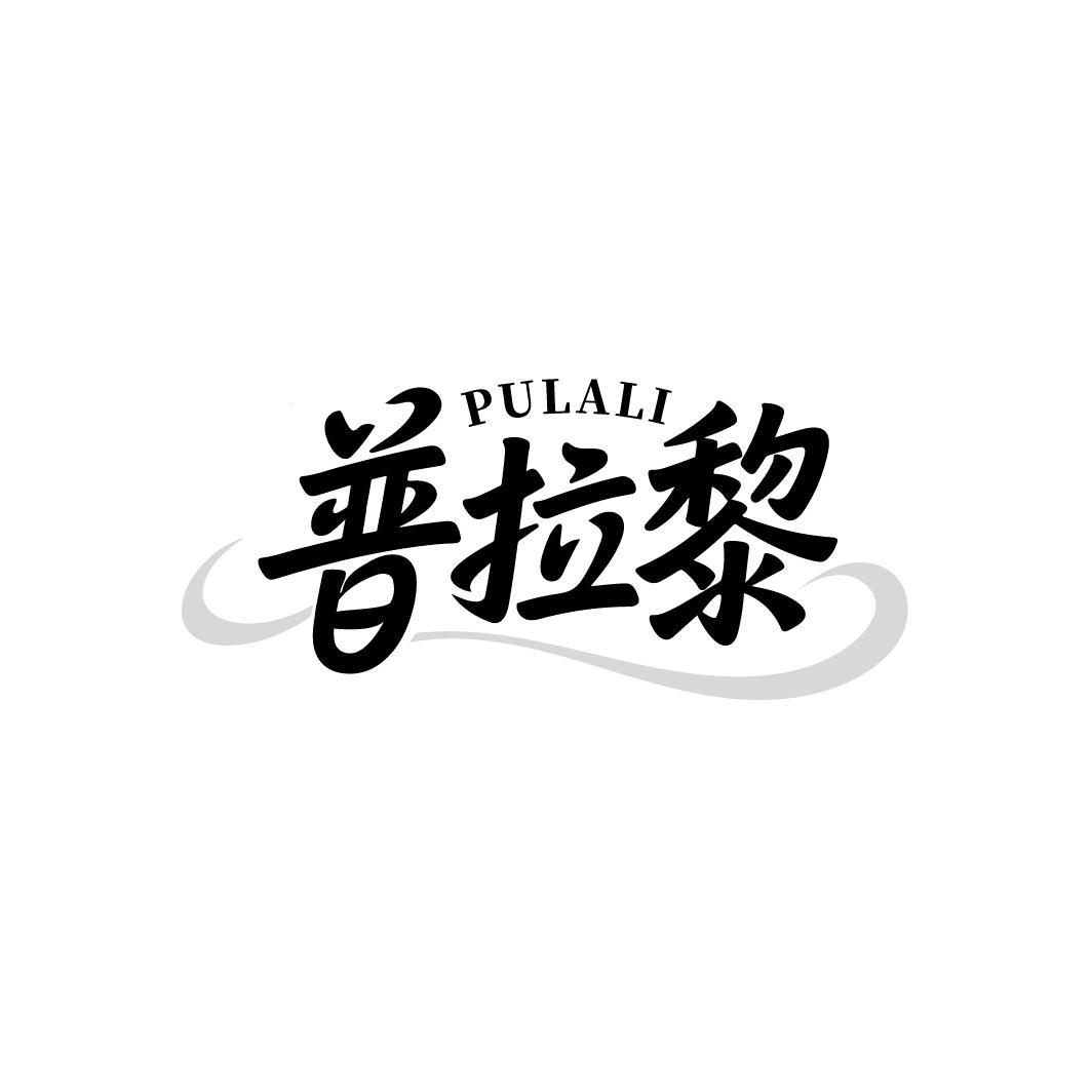 第18类商标-普拉黎 普拉黎