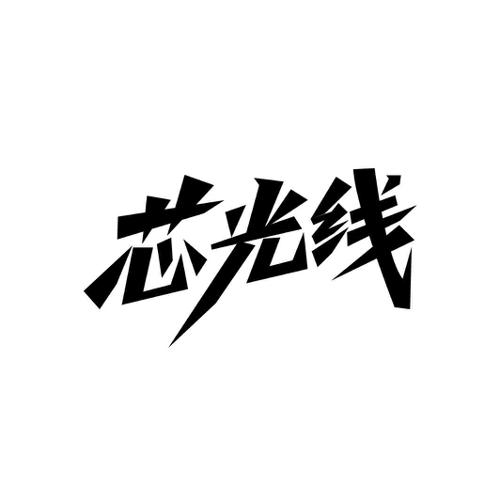 第9类商标-芯光线 芯光线