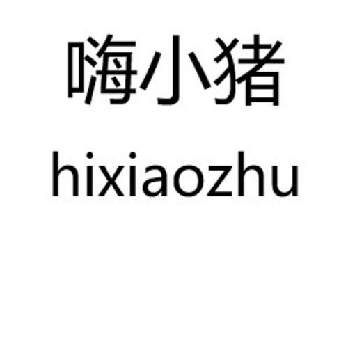 第25类商标-嗨小猪 HIXIAOZHU 嗨小猪 HIXIAOZHU