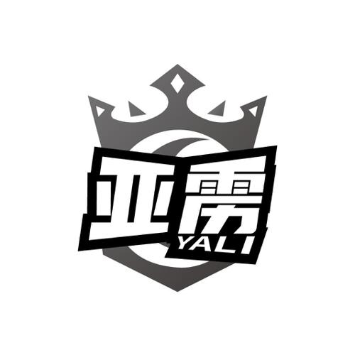 第6类商标-亚雳 亚雳