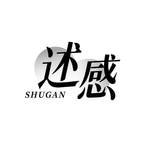 述感