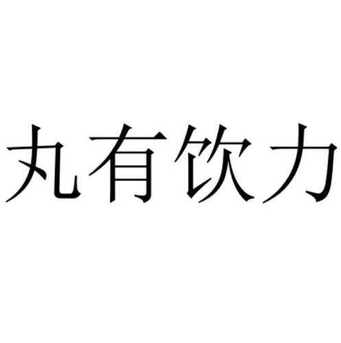 丸有饮力